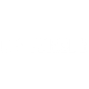 U.S ARMY